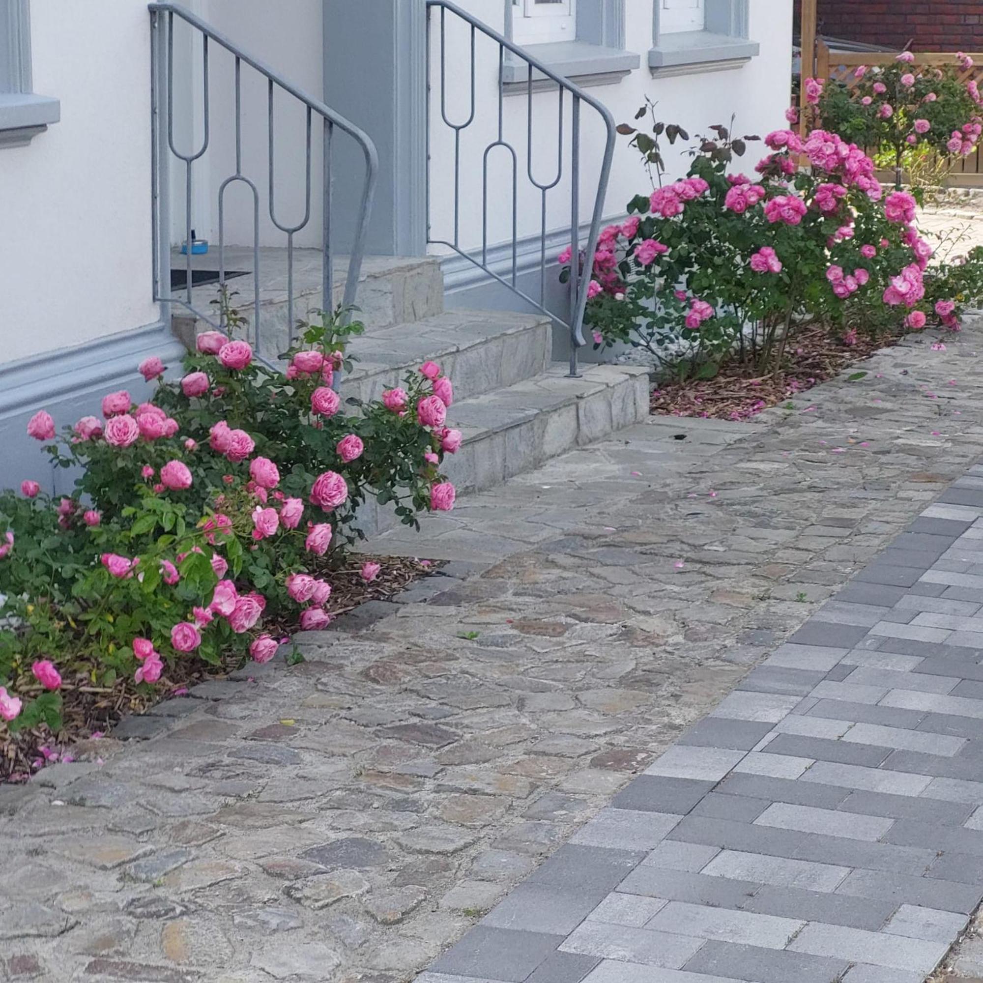 Privatunterkunft Im Erdgeschoss Apartment Nordenham Exterior foto